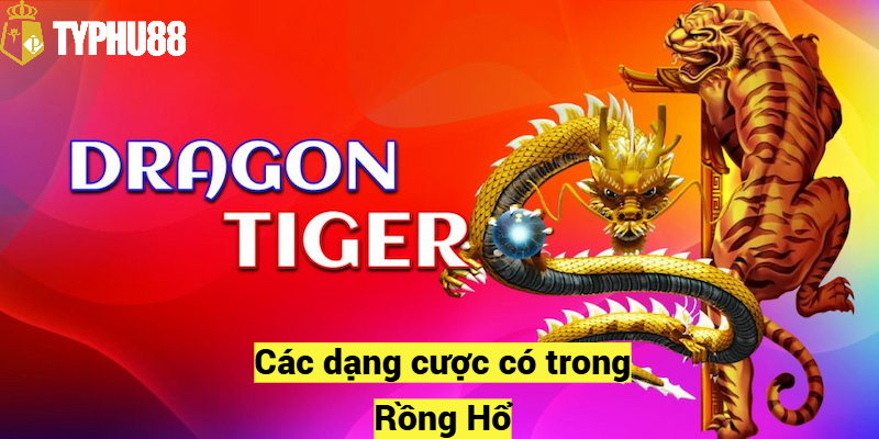 Các dạng cược có trong Rồng Hổ