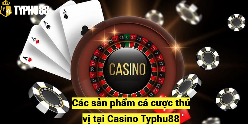 Các sản phẩm cá cược thú vị tại Casino Typhu88