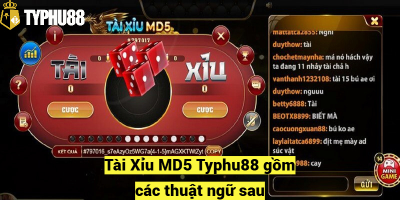 Tài Xỉu MD5 Typhu88 gồm các thuật ngữ sau: