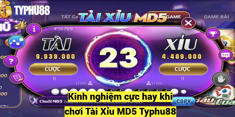 Kinh nghiệm cực hay khi chơi Tài Xỉu MD5 Typhu88