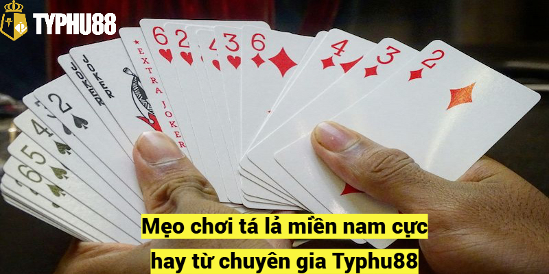 Mẹo chơi tá lả miền nam cực hay từ chuyên gia Typhu88