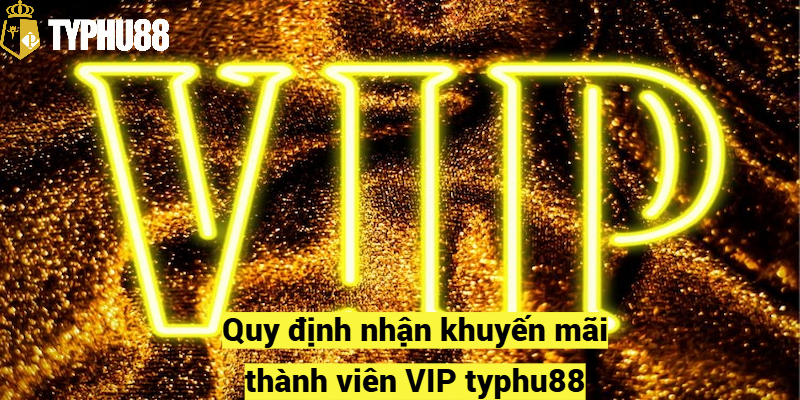 Quy định nhận khuyến mãi thành viên VIP typhu88